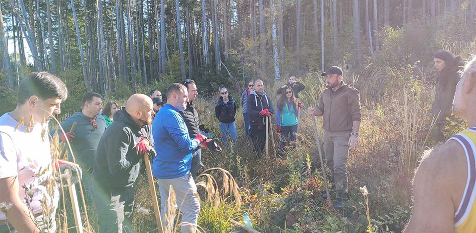 Tending our forest in Vitosha Mountain